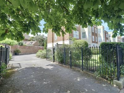 Picture 24
